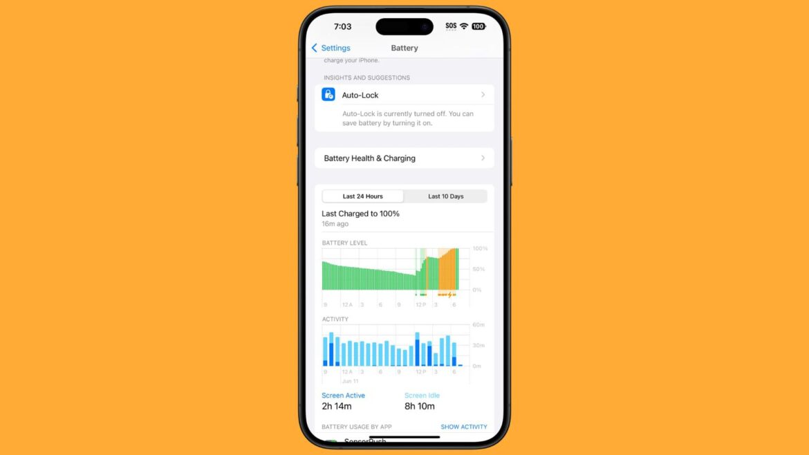 iOS 18